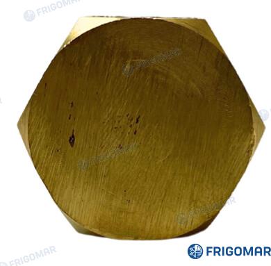 Anodo Zinc 99% 3/4" (CU70VFD-608NT) Frigomar