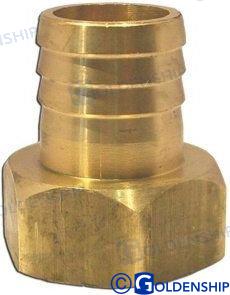 Entronque Hembra 1-1/2-40 Goldenship