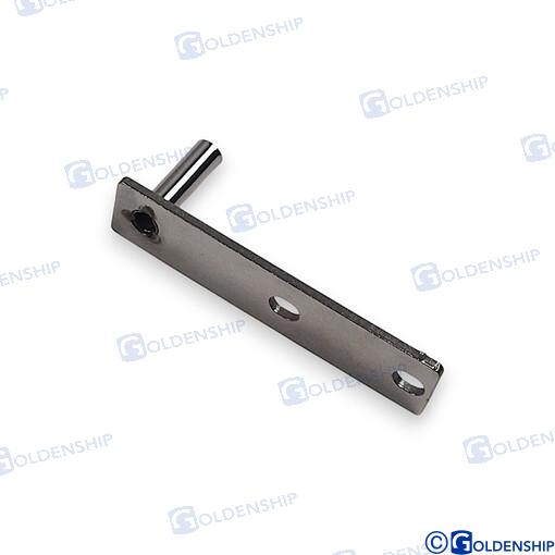 Bisagra GS50308/GS50309 Goldenship