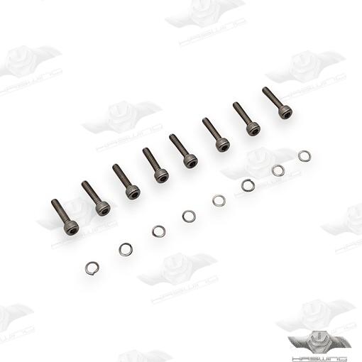 Tornillos Haswing (Ref. HE24001003)