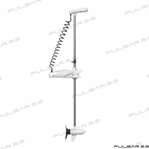 Motor Electrico Pulsar 36V Gps 250 Cm. (Ref. HE50738-250W)