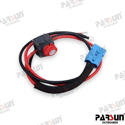 Motor Electr 6 Kw. Control Remoto L 20" Parsun