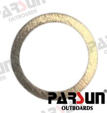 Arandela Parsun (Ref. PAF115-05010007)