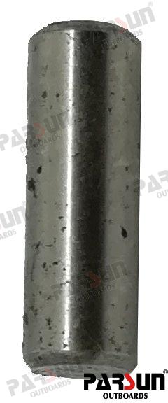 Pin Parsun (Ref. PAF15-0000013)
