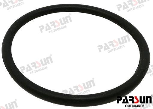 Tórica Parsun (Ref. PAF25-01000005)
