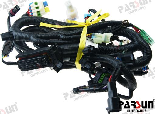 Wiring Harness, Ecu Control Delfi Parsun