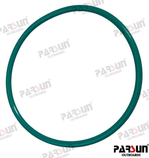 Anillo Torico Φ65XΦ3.1 Parsun