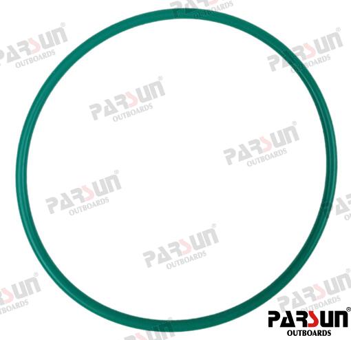 Anillo Torico Φ85XΦ3.1 Parsun