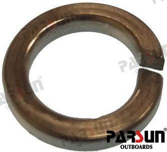 Washer Spring 10 Parsun