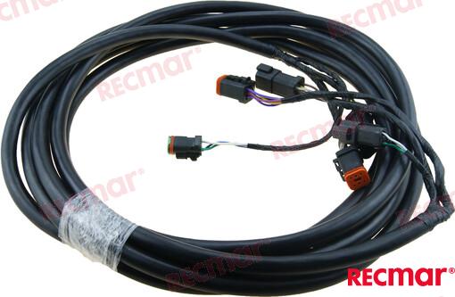 Extension Arnes 20´ OMC 176335