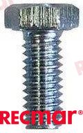 Tornillo OMC (Ref. REC10-28668)