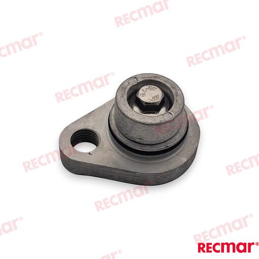 Tapa Anodo Completa Suzuki OMC