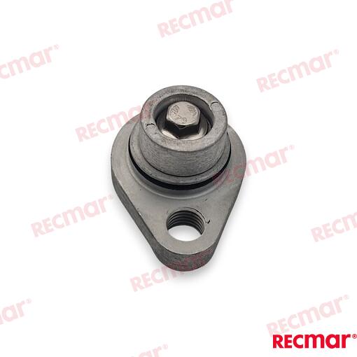 Tapa Anodo Completa Suzuki OMC