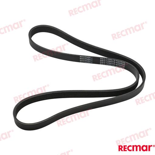 Correa Yanmar (Ref. REC129675-42280E)