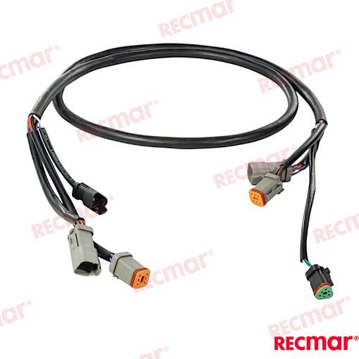 Extension Arnes 5FT OMC