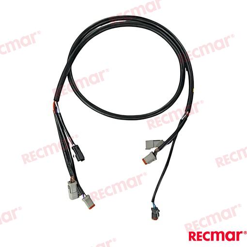 Extension Arnes 5FT OMC