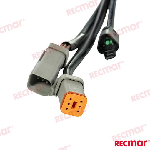 Extension Arnes 5FT OMC