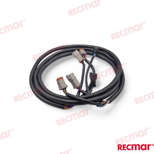 Extension Arnes 10FT (3M) OMC