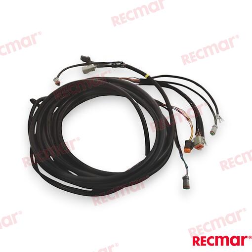 Cable De Arnés De Encendido Externo De 1 OMC (Ref. REC176339)