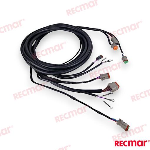Cable De Arnés De Encendido Externo De 1 OMC (Ref. REC176340)