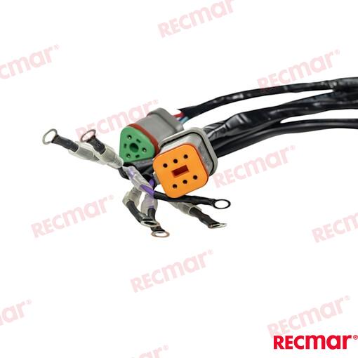 Cable De Arnés De Encendido Externo De 2 OMC (Ref. REC176341)