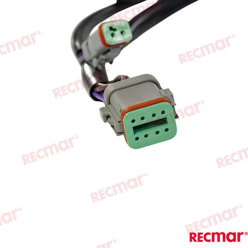 Cable De Arnés De Encendido Externo De 2 OMC (Ref. REC176341)