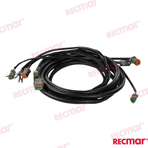 Cable De Arnés De Encendido Externo De 2 OMC (Ref. REC176341)
