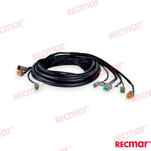 Cable De Arnés De Encendido Externo De 2 OMC (Ref. REC176342)