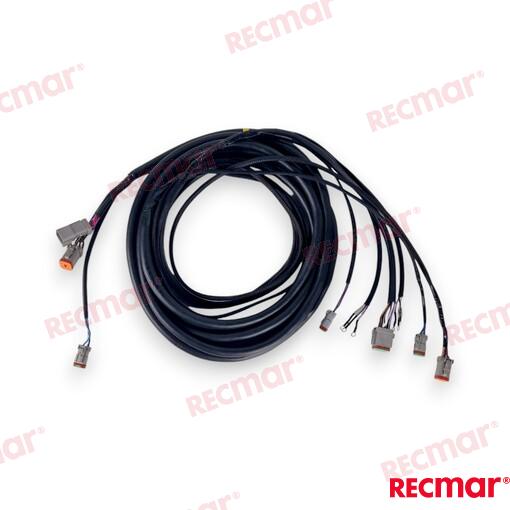 Cable De Arnés De Encendido Externo De 2 OMC (Ref. REC176342)
