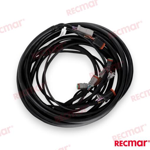 Cable De Arnés De Encendido Externo De 2 OMC (Ref. REC176342)