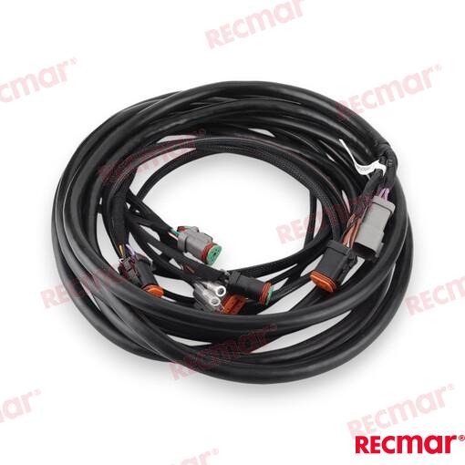 Cable De Arnés De Encendido Externo De 2 OMC (Ref. REC176342)