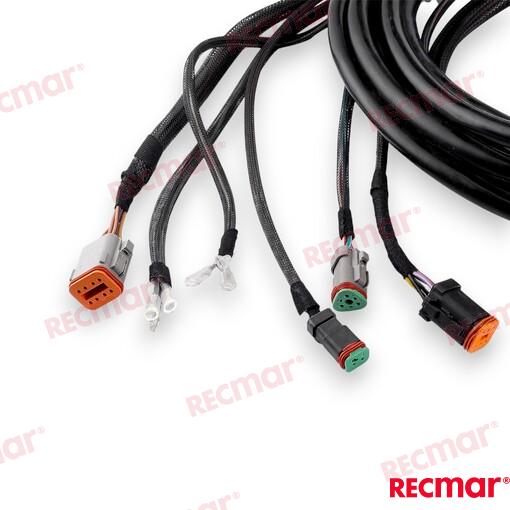 Cable De Arnés De Encendido Externo De 2 OMC (Ref. REC176342)