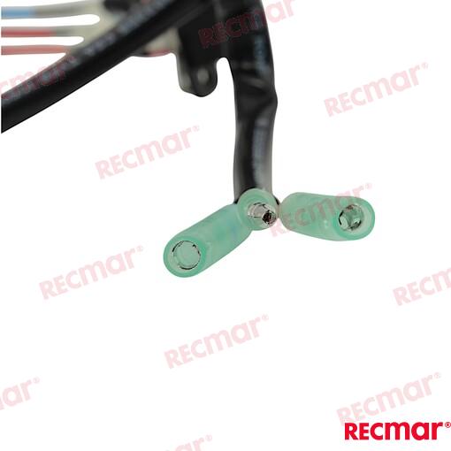 Interruptor OMC