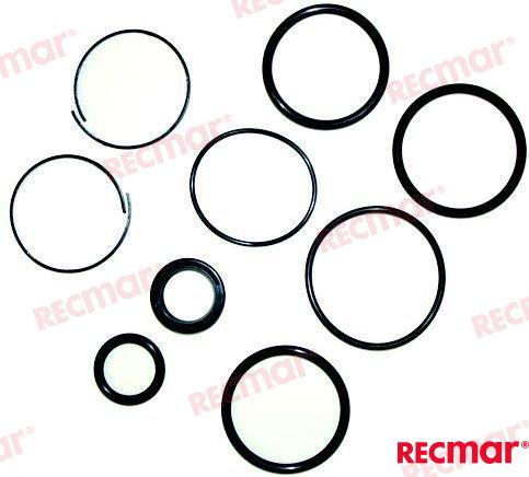 Kit Reparacion Piston OMC