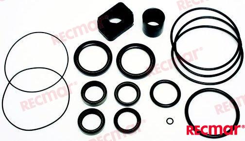 Kit Juntas OMC 3856002