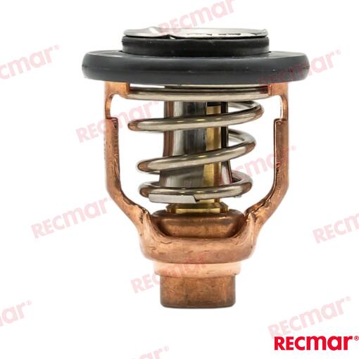 Termostato Yamaha 60ºC 6DA-12411-01