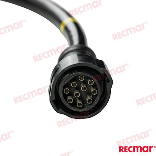 Extension 10PIN 26,2FT Yamaha