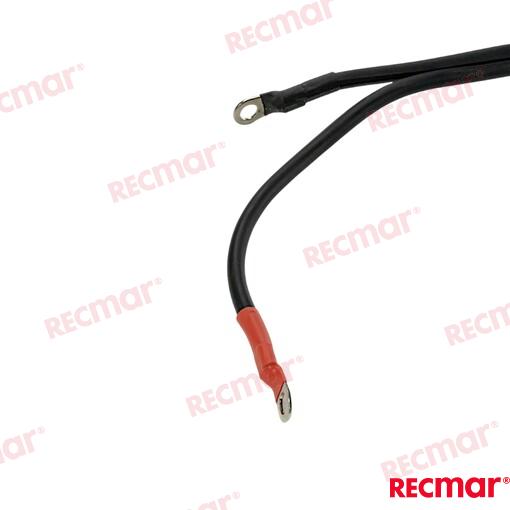 Cable De Bateria 3,5M Yamaha
