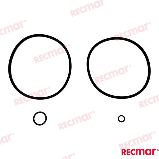 Elemento Filtro De Combustible Recmar
