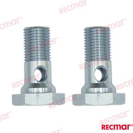 Tornillo Hueco (par) Volvo (Ref. REC942007)