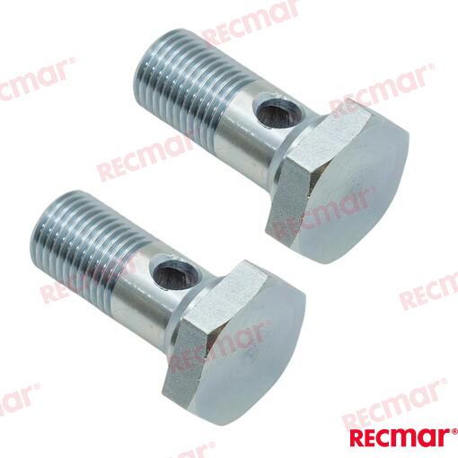 Tornillo Hueco (par) Volvo (Ref. REC942007)