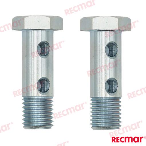 Tornillo Hueco (par) Volvo (Ref. REC947975)