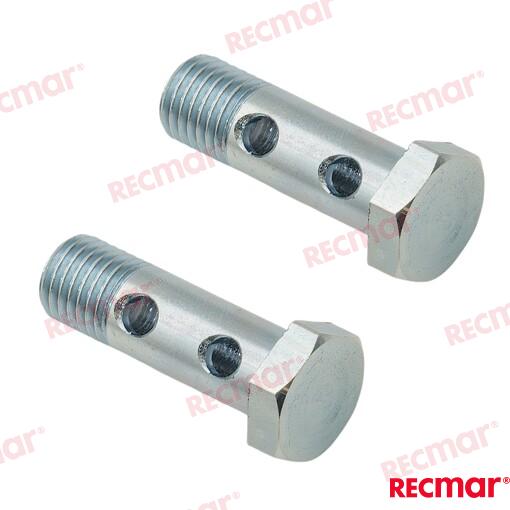 Tornillo Hueco (par) Volvo (Ref. REC947975)