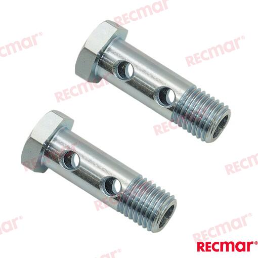 Tornillo Hueco (par) Volvo (Ref. REC947975)