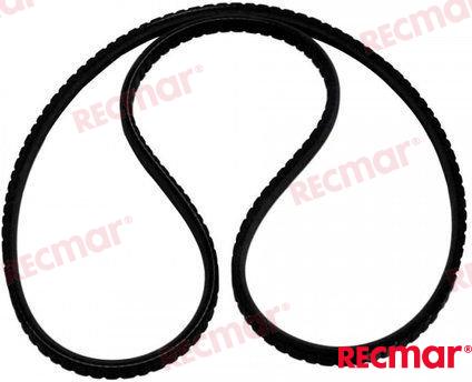 Correa Motor OMC 966903