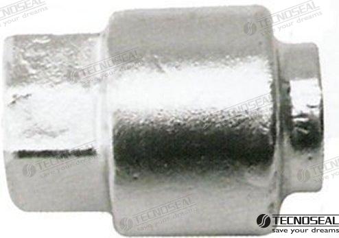 Anodo Selva 80-100HP Zinc Tecnoseal