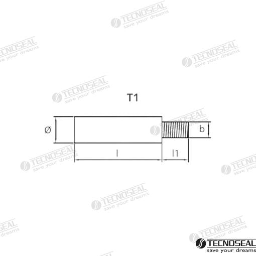 Anodo Cummins Dia 12.5 L 30 Tecnoseal