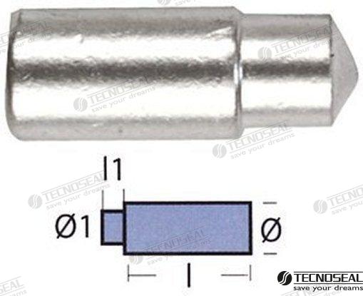 Anodo Bukh Dia 10MM TEN02053T Tecnoseal