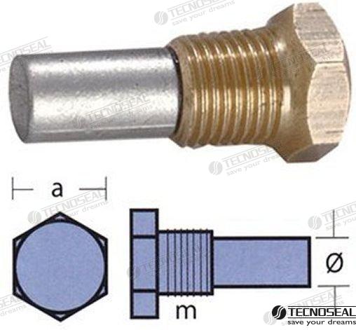 Kit Anodo Bukh C/tapon Tecnoseal