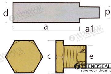 Kit Anodo Vm C/tapon Tecnoseal